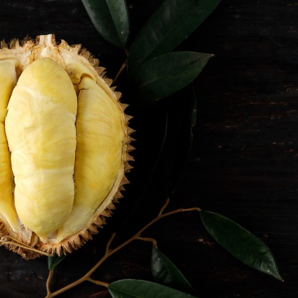 Mengenal Durian Montong Idola Durian Lovers